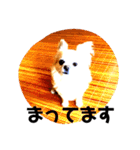 ララ君の日常スタンプ（個別スタンプ：20）