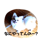 ララ君の日常スタンプ（個別スタンプ：27）