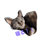 黒猫.ねむ（個別スタンプ：2）