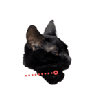 黒猫.ねむ（個別スタンプ：3）