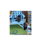 黒猫.ねむ（個別スタンプ：7）