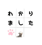 あいくん一周年すたんぷ（個別スタンプ：11）