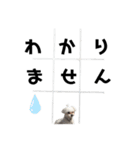 あいくん一周年すたんぷ（個別スタンプ：12）