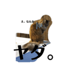 ねこのちこちゃん(びびりちゃん)②（個別スタンプ：4）
