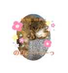 ねこのちこちゃん(びびりちゃん)②（個別スタンプ：9）