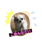 もふふわフレンズ（個別スタンプ：2）