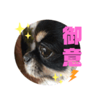 もふふわフレンズ（個別スタンプ：6）