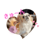 もふふわフレンズ（個別スタンプ：7）