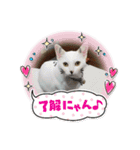 LOVE♡ゆきちゃんスタンプ（個別スタンプ：3）