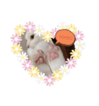 LOVE♡ゆきちゃんスタンプ（個別スタンプ：5）
