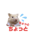 松本和也（個別スタンプ：5）
