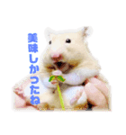 松本和也（個別スタンプ：11）