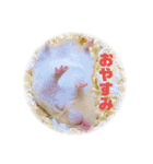 松本和也（個別スタンプ：12）