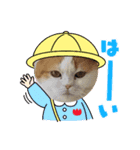 猫 ゆめちゃん（個別スタンプ：1）