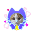 猫 ゆめちゃん（個別スタンプ：5）