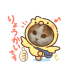 猫 ゆめちゃん（個別スタンプ：7）