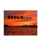 恋人 一言 恋愛 言葉 景色 夜景（個別スタンプ：7）