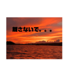 恋人 一言 恋愛 言葉 景色 夜景（個別スタンプ：10）