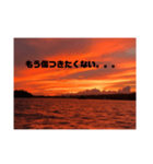 恋人 一言 恋愛 言葉 景色 夜景（個別スタンプ：13）