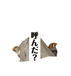 おもちと銀次郎2（個別スタンプ：4）