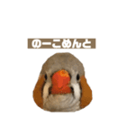 おもちと銀次郎2（個別スタンプ：5）