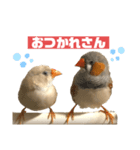 おもちと銀次郎2（個別スタンプ：8）