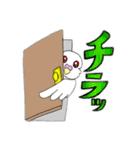 アルビノ☆セキセイインコ（個別スタンプ：13）