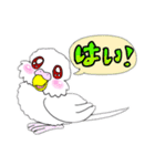 アルビノ☆セキセイインコ（個別スタンプ：15）