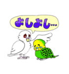 アルビノ☆セキセイインコ（個別スタンプ：22）