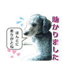 みんなにありがとうスタンプ（個別スタンプ：2）