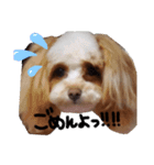 milk0517（個別スタンプ：3）