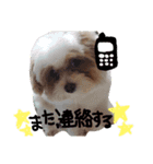 milk0517（個別スタンプ：5）