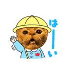 TORAのかお スタンプ（個別スタンプ：2）