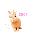 むぎぞーのすたんぷ。（個別スタンプ：2）