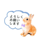 むぎぞーのすたんぷ。（個別スタンプ：8）