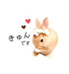 むぎぞーのすたんぷ。（個別スタンプ：10）