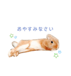 むぎぞーのすたんぷ。（個別スタンプ：12）