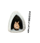 むぎぞーのすたんぷ。（個別スタンプ：13）