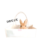 むぎぞーのすたんぷ。（個別スタンプ：14）