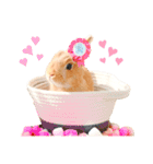 むぎぞーのすたんぷ。（個別スタンプ：19）