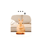 むぎぞーのすたんぷ。（個別スタンプ：22）