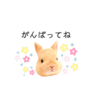 むぎぞーのすたんぷ。（個別スタンプ：25）