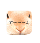 むぎぞーのすたんぷ。（個別スタンプ：28）