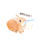 むぎぞーのすたんぷ。（個別スタンプ：30）