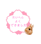 むぎぞーのすたんぷ。（個別スタンプ：31）