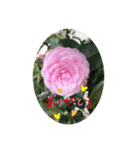 camellia（椿）（個別スタンプ：7）