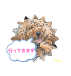 トイプードルプリンスタンプ3（個別スタンプ：3）