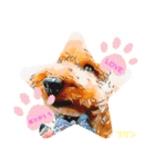 トイプードルプリンスタンプ3（個別スタンプ：5）
