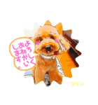 トイプードルプリンスタンプ3（個別スタンプ：14）