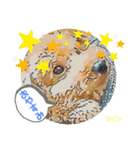 トイプードルプリンスタンプ3（個別スタンプ：20）